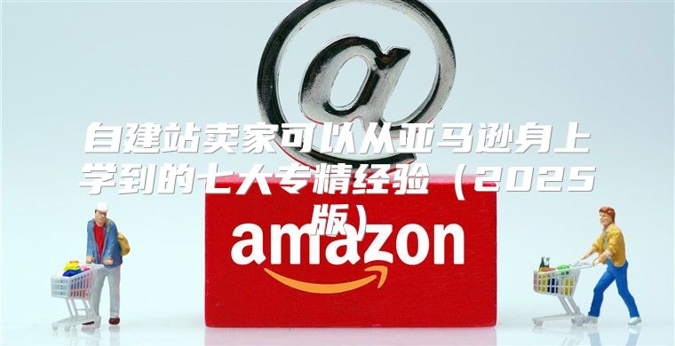 自建站卖家可以从亚马逊身上学到的七大专精经验2025版