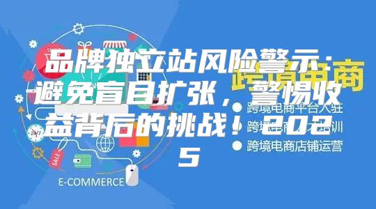 品牌独立站风险警示：避免盲目扩张，警惕收益背后的挑战！2025