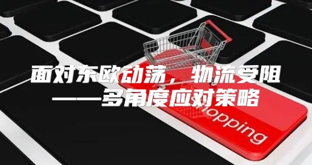 面对东欧动荡，物流受阻——多角度应对策略