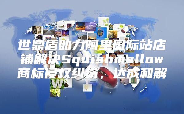 世鼎盾助力阿里国际站店铺解决Squishmallow商标侵权纠纷，达成和解