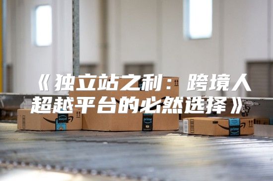 独立站之利：跨境人超越平台的必然选择