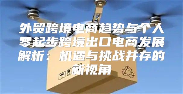 外贸跨境电商趋势与个人零起步跨境出口电商发展解析：机遇与挑战并存的新视角