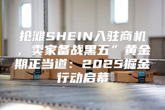 抢滩SHEIN入驻商机，卖家备战黑五”黄金期正当道：2025掘金行动启幕