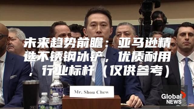 未来趋势前瞻：亚马逊精选不锈钢冰铲，优质耐用，行业标杆仅供参考