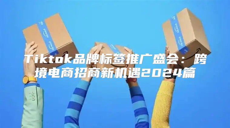 Tiktok品牌标签推广盛会：跨境电商招商新机遇2025篇