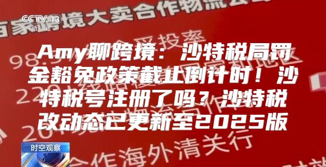Amy聊跨境：沙特税局罚金豁免政策截止倒计时！沙特税号注册了吗？沙特税改动态已更新至2025版