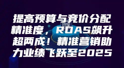 提高预算与竞价分配精准度，ROAS飙升超两成！精准营销助力业绩飞跃至2025