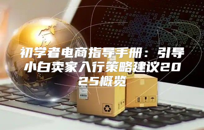 初学者电商指导手册：引导小白卖家入行策略建议2025概览