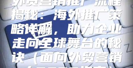 外贸营销推广流程揭秘：海外推广策略详解，助力企业走向全球舞台的秘诀面向外贸营销人2025指南