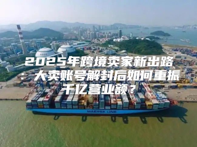 2025年跨境卖家新出路：大卖账号解封后如何重振千亿营业额？