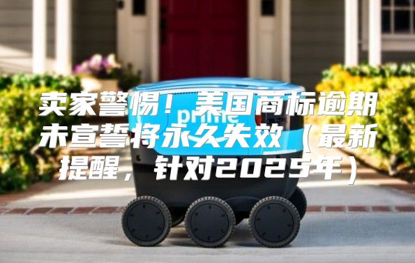卖家警惕！美国商标逾期未宣誓将永久失效最新提醒，针对2025年