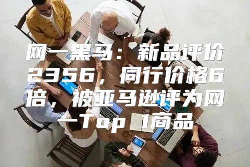 网一黑马：新品评价2356，同行价格6倍，被亚马逊评为网一Top 1商品