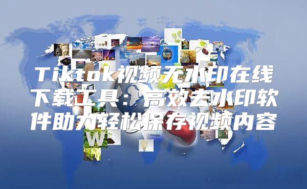 Tiktok视频无水印在线下载工具：高效去水印软件助力轻松保存视频内容