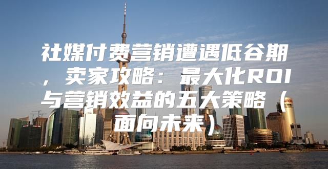 社媒付费营销遭遇低谷期，卖家攻略：最大化ROI与营销效益的五大策略面向未来