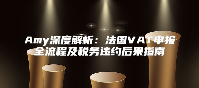 Amy深度解析：法国VAT申报全流程及税务违约后果指南