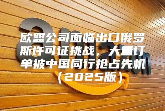 欧盟公司面临出口俄罗斯许可证挑战，大量订单被中国同行抢占先机2025版