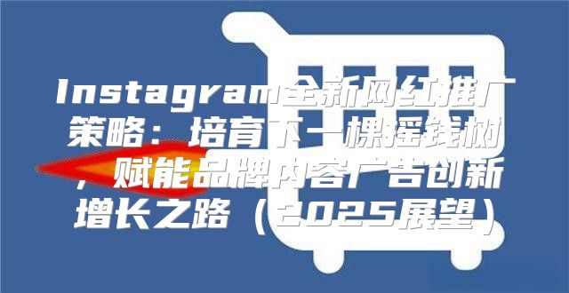 Instagram全新网红推广策略：培育下一棵摇钱树，赋能品牌内容广告创新增长之路2025展望