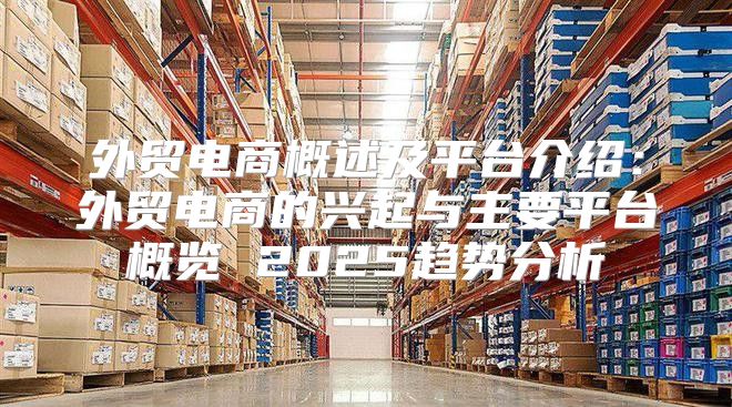外贸电商概述及平台介绍：外贸电商的兴起与主要平台概览 2025趋势分析