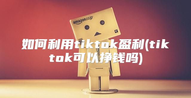 如何利用tiktok盈利(tiktok可以挣钱吗)
