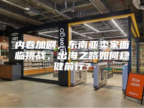 内卷加剧，东南亚卖家面临挑战，出海之路如何稳健前行？