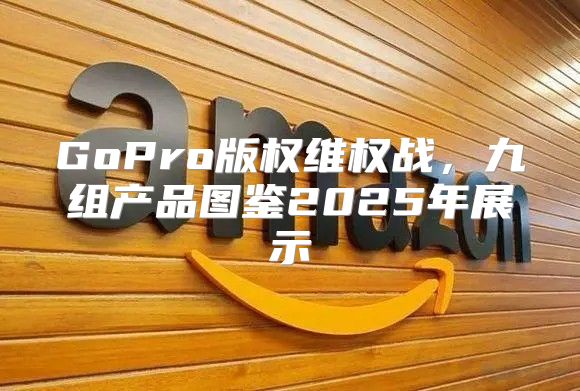 GoPro版权维权战，九组产品图鉴2025年展示