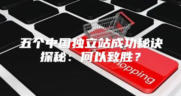 五个中国独立站成功秘诀探秘：何以致胜？