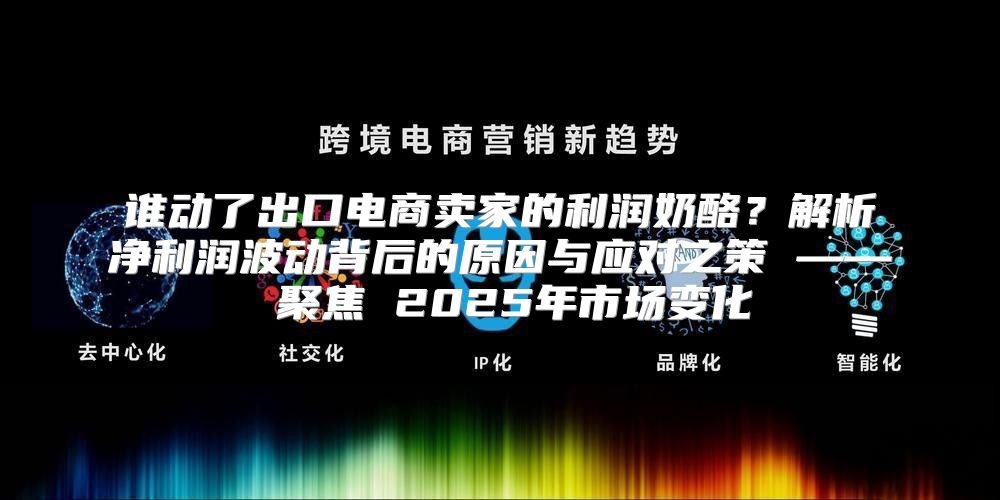 谁动了出口电商卖家的利润奶酪？解析净利润波动背后的原因与应对之策 —— 聚焦 2025年市场变化
