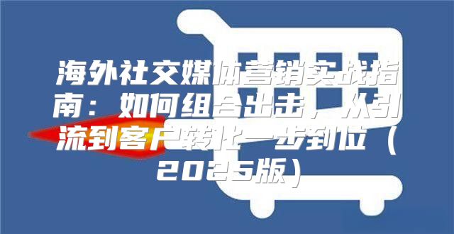 海外社交媒体营销实战指南：如何组合出击，从引流到客户转化一步到位2025版