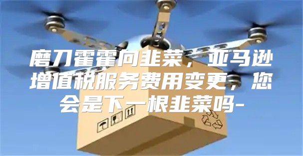 磨刀霍霍向韭菜，亚马逊增值税服务费用变更，您会是下一根韭菜吗-