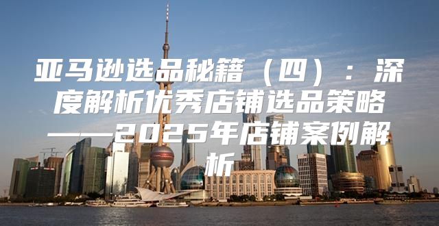 亚马逊选品秘籍四：深度解析优秀店铺选品策略——2025年店铺案例解析