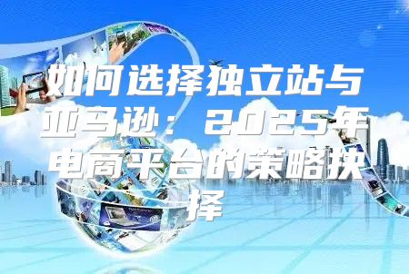 如何选择独立站与亚马逊：2025年电商平台的策略抉择