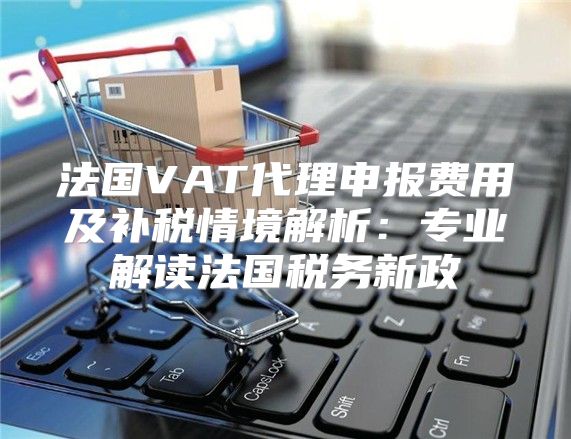 法国VAT代理申报费用及补税情境解析：专业解读法国税务新政