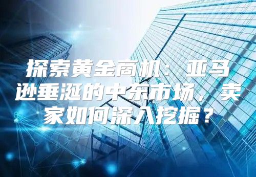 探索黄金商机：亚马逊垂涎的中东市场，卖家如何深入挖掘？