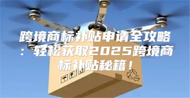 跨境商标补贴申请全攻略：轻松获取2025跨境商标补贴秘籍！
