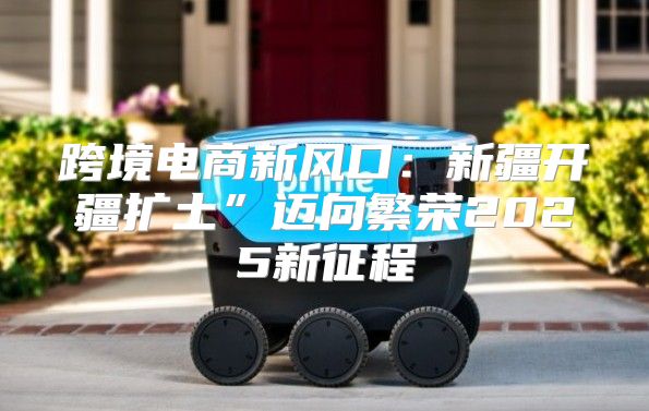 跨境电商新风口：新疆开疆扩土”迈向繁荣2025新征程