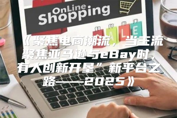 聚焦电商潮流，当主流聚焦亚马逊与eBay时，有人创新开垦”新平台之路——2025