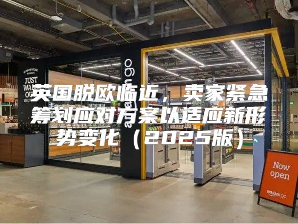 英国脱欧临近，卖家紧急筹划应对方案以适应新形势变化2025版