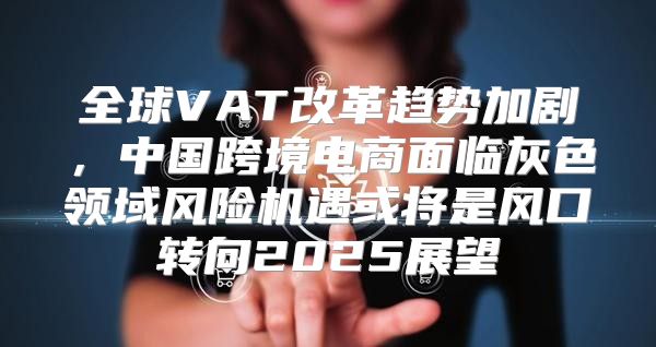 全球VAT改革趋势加剧，中国跨境电商面临灰色领域风险机遇或将是风口转向2025展望