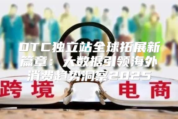 DTC独立站全球拓展新篇章：大数据引领海外消费趋势洞察2025
