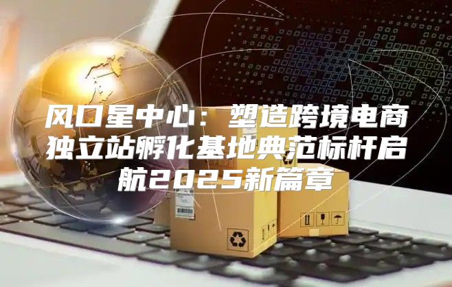 风口星中心：塑造跨境电商独立站孵化基地典范标杆启航2025新篇章