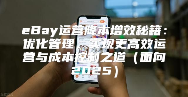 eBay运营降本增效秘籍：优化管理，实现更高效运营与成本控制之道面向2025