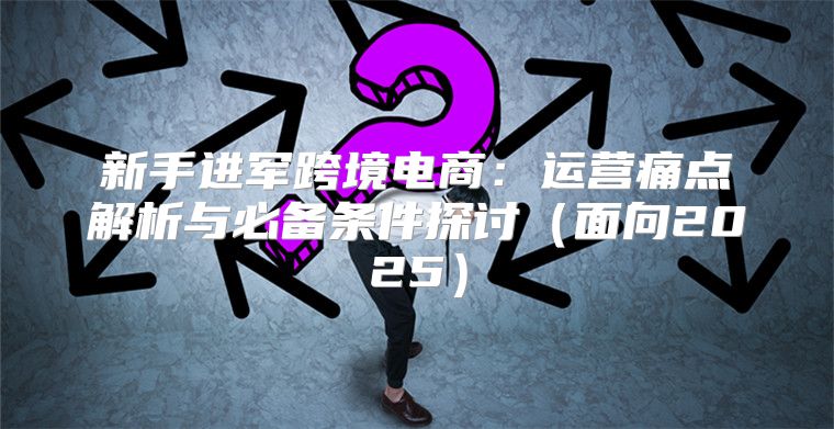 新手进军跨境电商：运营痛点解析与必备条件探讨面向2025