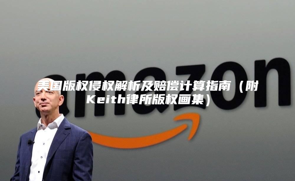 美国版权侵权解析及赔偿计算指南附Keith律所版权画集