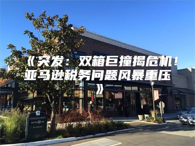 突发：双箱巨撞揭危机！亚马逊税务问题风暴重压