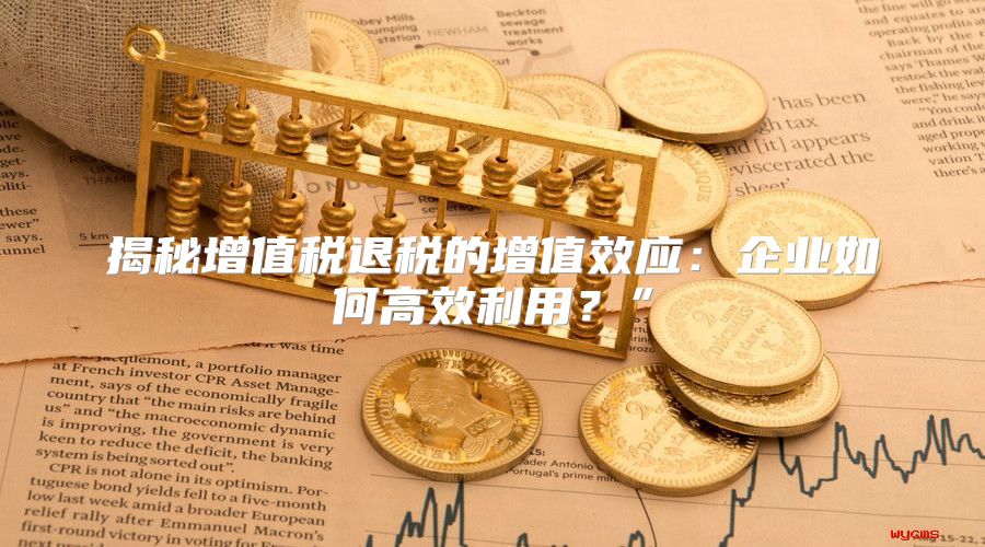 揭秘增值税退税的增值效应：企业如何高效利用？”