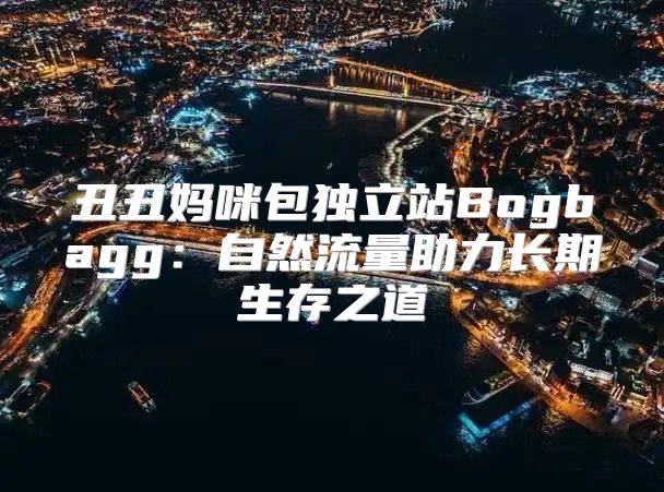 丑丑妈咪包独立站Bogbagg：自然流量助力长期生存之道