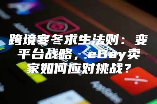跨境寒冬求生法则：变平台战略，eBay卖家如何应对挑战？