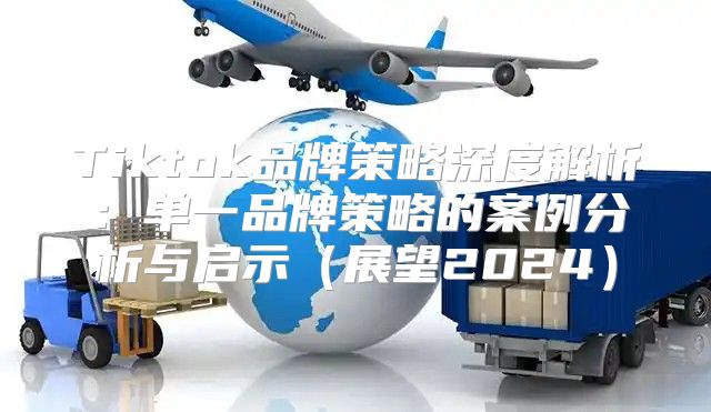Tiktok品牌策略深度解析：单一品牌策略的案例分析与启示展望2025
