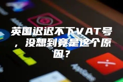 英国迟迟不下VAT号，没想到竟是这个原因？