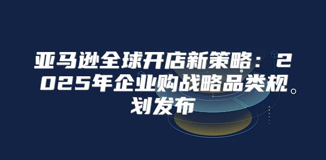 亚马逊全球开店新策略：2025年企业购战略品类规划发布